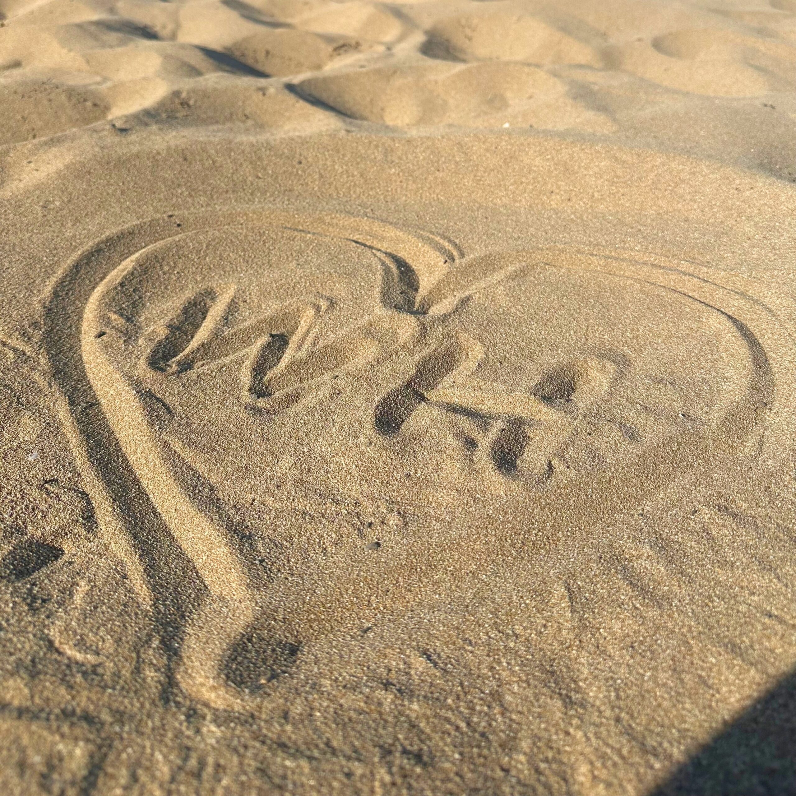 práca na Cypre pri mori